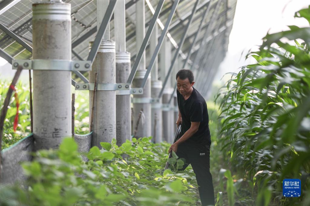 欢乐炸三张下载